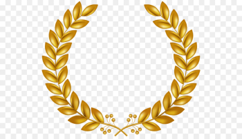 Laurel wreath Clip art - gold wreath png download - 600*514 - Free ...