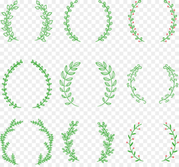 Laurel wreath Drawing Clip art - Vector hand painted olive branch 
