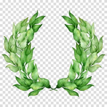 Laurel wreath Olive wreath Bay Laurel, others transparent background PNG clipart Laurel wreath Olive wreath Bay Laurel, others transparent background PNG clipart