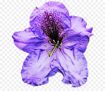Lavender Lavender