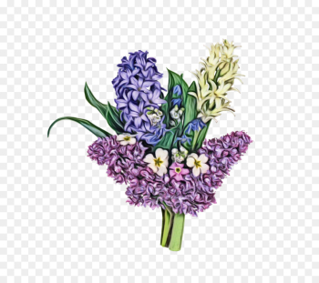 Lavender Lavender