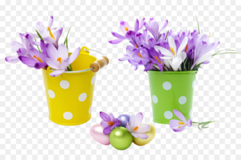 Lavender Lavender