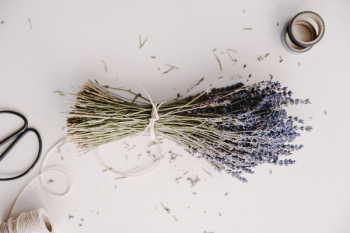 Lavender Flower Bouquet On White Surface Lavender Flower Bouquet On White Surface