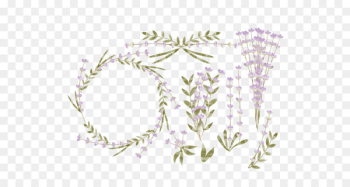 Lavender Flower Euclidean vector Watercolor painting Logo - Purple lavender pattern 