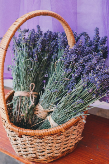 Lavender Flowers in Woven Basket Lavender Flowers in Woven Basket