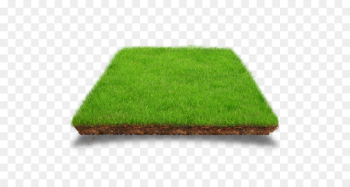 Lawn Artificial turf Download - model Lawn Artificial turf Download - model