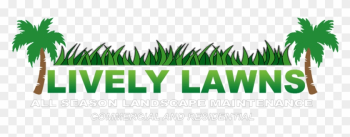 Lawn Mowing - Palm Tree Lawn Mowing - Palm Tree