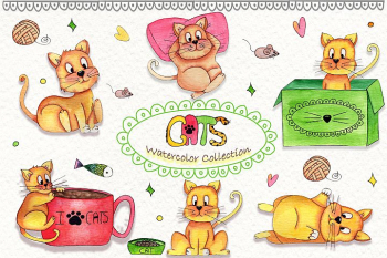 Lazy Cats Wattercolor Illustrations Lazy Cats Wattercolor Illustrations