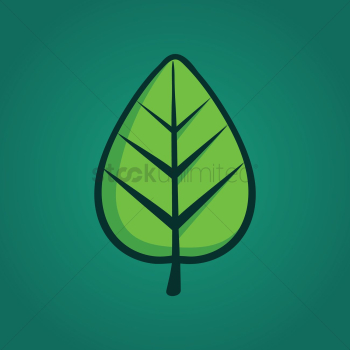Leaf