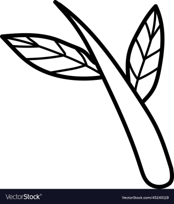 leaf leaf