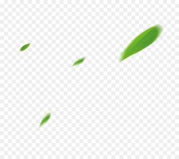 Leaf Angle Pattern - leaf Leaf Angle Pattern - leaf