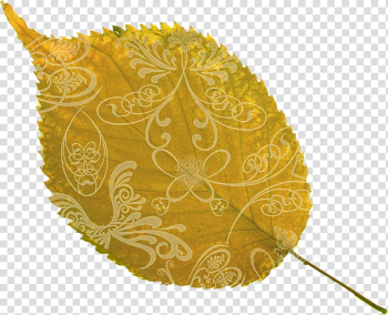 Leaf Autumn Flower Red, autumn leaves transparent background PNG clipart Leaf Autumn Flower Red, autumn leaves transparent background PNG clipart