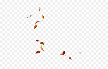 Leaf Autumn - Leaves Leaf Autumn - Leaves