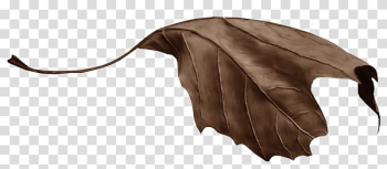 Leaf Autumn Leaves Blog, Leaf transparent background PNG clipart