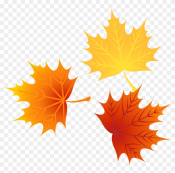 Leaf Autumn Leaves Euclidean Vector - Autumn Leaves Vector Png