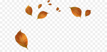 Leaf Autumn - Withered autumn leaves Leaf Autumn - Withered autumn leaves