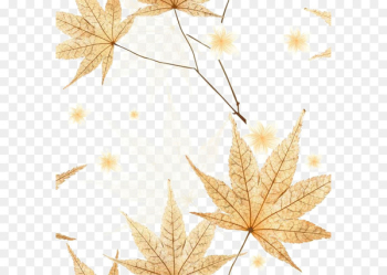 Leaf Autumn - Yellow autumn leaves Leaf Autumn - Yellow autumn leaves