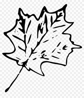 Leaf Black And White Leaf Outline Clip Art - Leaf Black And White Leaf Outline Clip Art
