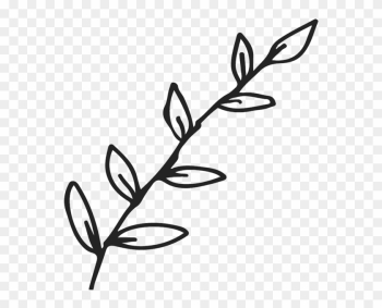 Leaf Branch Outline Png