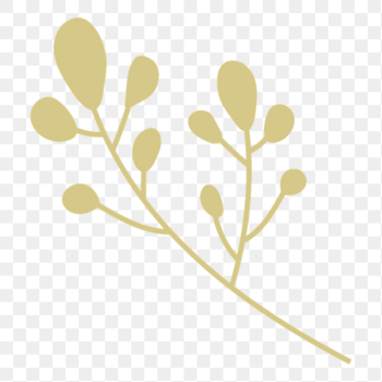 Leaf branch png sticker, transparent | Free PNG Illustration - rawpixel