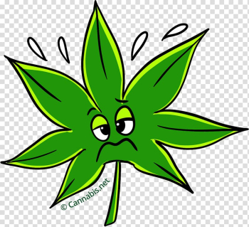 Leaf Cannabis Kush Thai stick , Leaf transparent background PNG clipart Leaf Cannabis Kush Thai stick , Leaf transparent background PNG clipart
