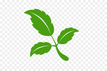 Leaf Cartoon - leaf Leaf Cartoon - leaf