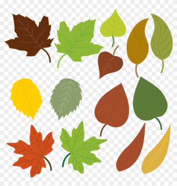 Leaf Clip Art Images - Formas De Hojas De Arboles Leaf Clip Art Images - Formas De Hojas De Arboles