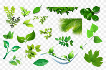 Leaf Clip Art - Leaf Clip Art Leaf Clip Art - Leaf Clip Art