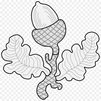 Leaf Clip art Plant stem Oak Food - leaf Leaf Clip art Plant stem Oak Food - leaf