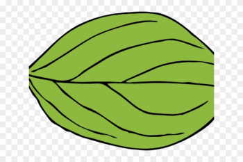 Leaf Clipart Apple Tree - Oval Leaf Leaf Clipart Apple Tree - Oval Leaf