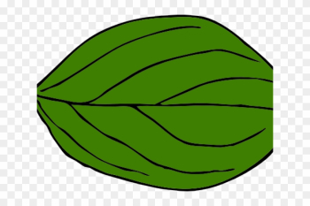 Leaf Clipart Oval - Oval Leaf Leaf Clipart Oval - Oval Leaf