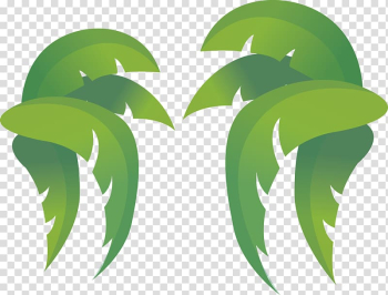 Leaf Coconut , Coconut leaves transparent background PNG clipart