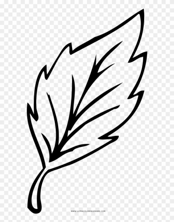 Leaf Coloring Page - Drawing Leaf Coloring Page - Drawing