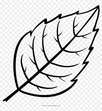 Leaf Coloring Page - Folha Desenho Para Colorir Leaf Coloring Page - Folha Desenho Para Colorir