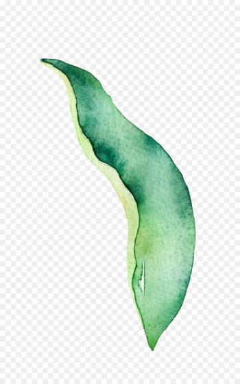 Leaf Download Image Portable Network Graphics Watercolor painting - leaf 