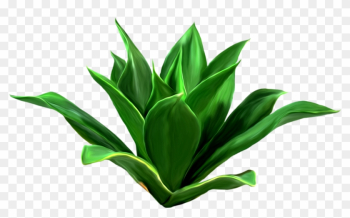 Leaf Download Seagrass Clip Art - Pianta Png Leaf Download Seagrass Clip Art - Pianta Png