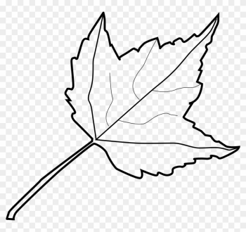 Leaf Drawing Outline At Getdrawings Com Free For Personal - Outline Image Of Leaf