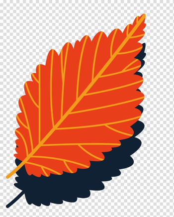 Leaf Element, Autumn leaves background transparent background PNG clipart