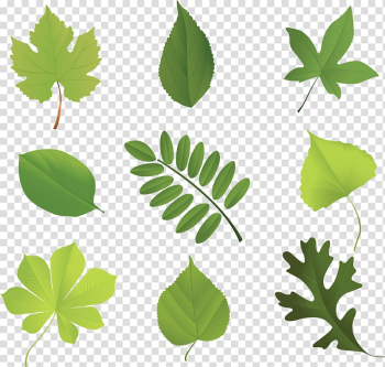 Leaf Encapsulated PostScript Tree, banana leaves transparent background PNG clipart Leaf Encapsulated PostScript Tree, banana leaves transparent background PNG clipart