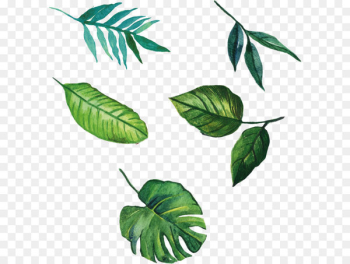 Leaf Euclidean vector Download - Vector hand-painted leaves Leaf Euclidean vector Download - Vector hand-painted leaves
