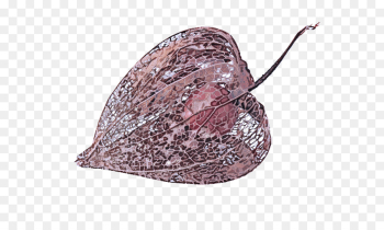 leaf fashion accessory leaf fashion accessory