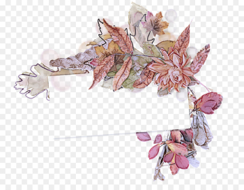 leaf flower plant lilac branch leaf flower plant lilac branch