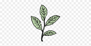 Leaf Gfx - Leaf Leaf Gfx - Leaf