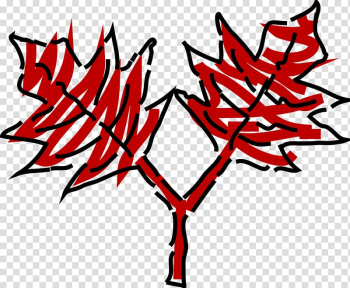 Leaf graphics Shrub Japanese maple, Leaf transparent background PNG clipart