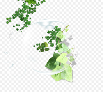 Leaf Green Clover - Drops green leaf Leaf Green Clover - Drops green leaf