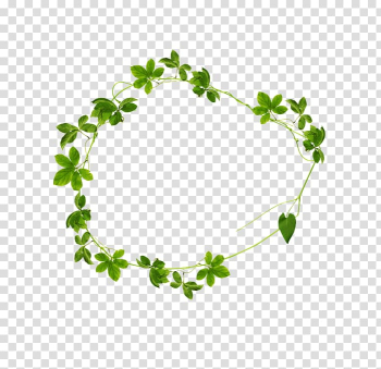 Leaf Green Drawing, Leaf transparent background PNG clipart Leaf Green Drawing, Leaf transparent background PNG clipart