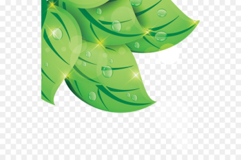 Leaf Green Drop - leaf Leaf Green Drop - leaf
