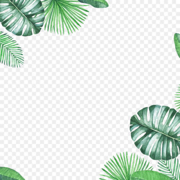 Leaf - Green Fresh Leaf Border Texture Leaf - Green Fresh Leaf Border Texture