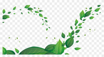 Leaf Green Fundal - Leaf Green Fundal Leaf Green Fundal - Leaf Green Fundal
