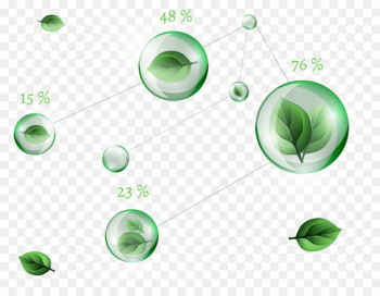 Leaf - Green leaf bubbles Leaf - Green leaf bubbles